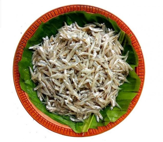 Kachki Fish ( কাচকি মাছ  )