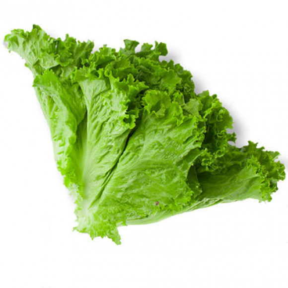 Organic Lettuce -লেটুস