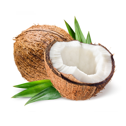 Organic Coconut - নারকেল