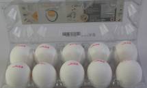KENKO BY OVO Farm Fresh handpicked Eggs 10 Pcs