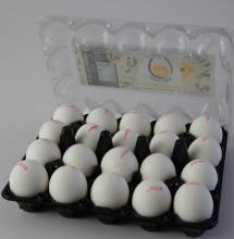 OVO Farm Fresh handpicked Eggs 20 Pcs