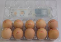 OVO Farm Fresh handpicked Brown Eggs 6 Pcs