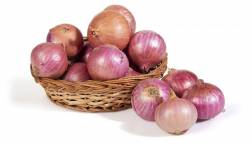 Onion -পেঁয়াজ