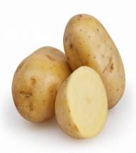 Potato Jyoti -  জ্যোতি আলু