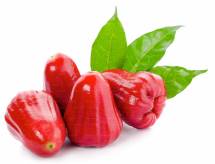 Red Jamrul