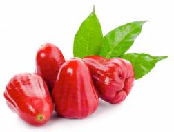 Red Jamrul