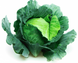 Organic Cabbage - বাঁধাকপি