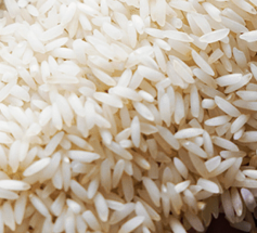 Tulaipanji Rice (Atap) - Scented Rice from North Bengal