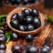 Kala Jamun - Kalo Jam - কালো জাম