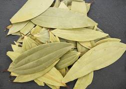 Mukti Fresh: Tej Patta (Bay Leaf)