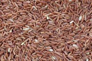 Mukti Fresh - Organic Sona Masuri Brown Rice