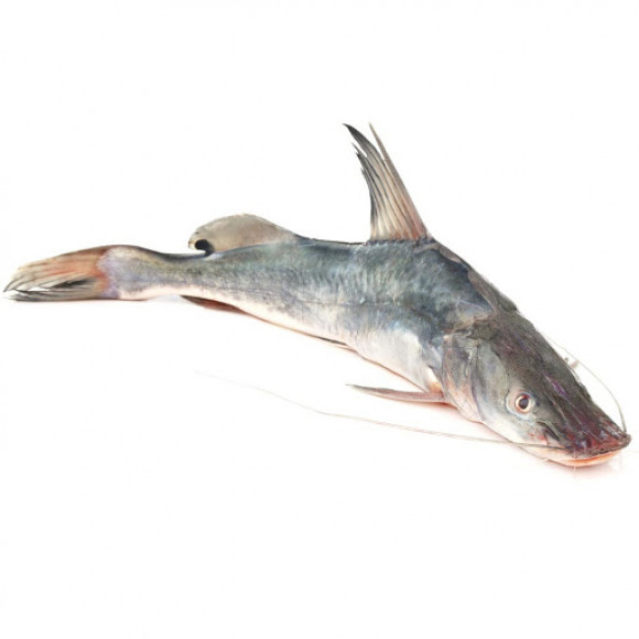 Desi AAR Fish - আড় মাছ ( 1-2 KG)